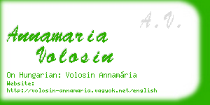 annamaria volosin business card